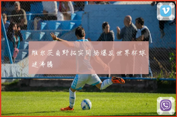 维尔茨南野拓实同场爆发世界杯球迷沸腾