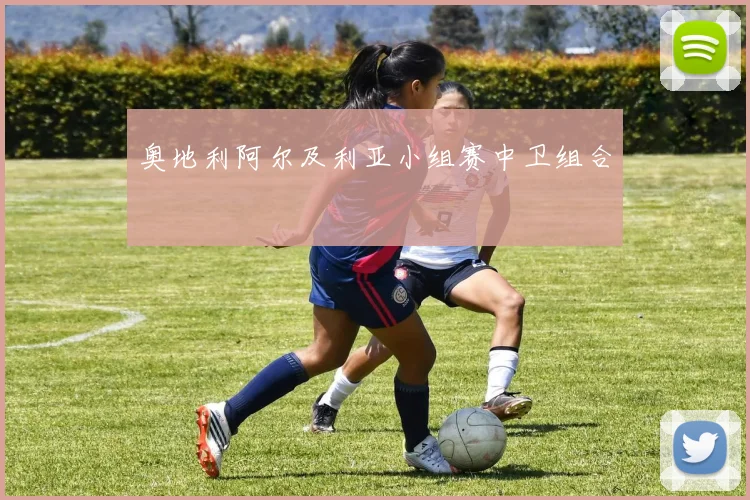 奥地利阿尔及利亚小组赛中卫组合