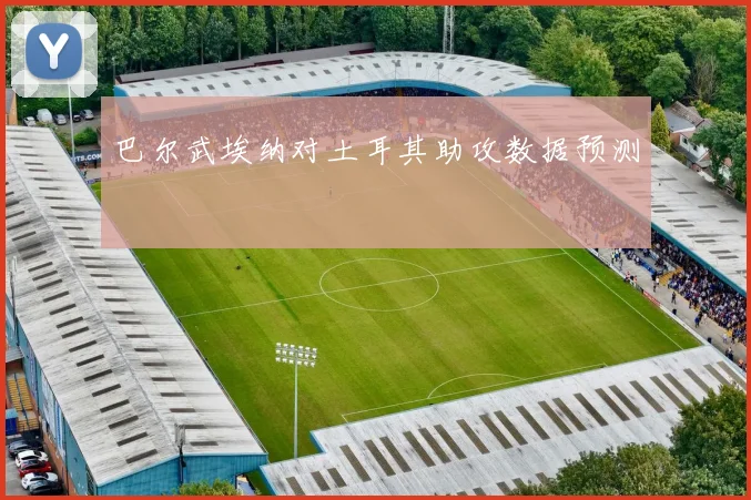 巴尔武埃纳对土耳其助攻数据预测