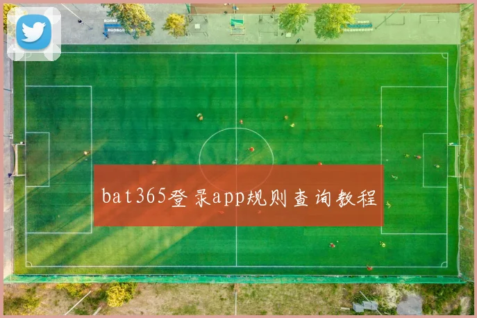 bat365登录app规则查询教程